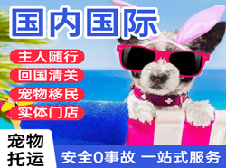 大连空运地址国际宠物托运 【国